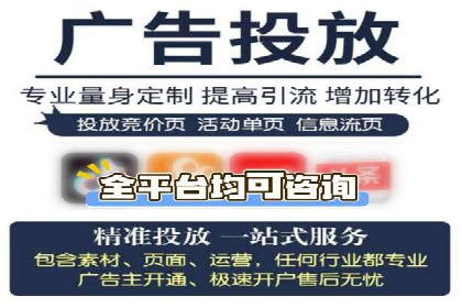 深入剖析SEM公司成功案例：数据驱动的广告策略